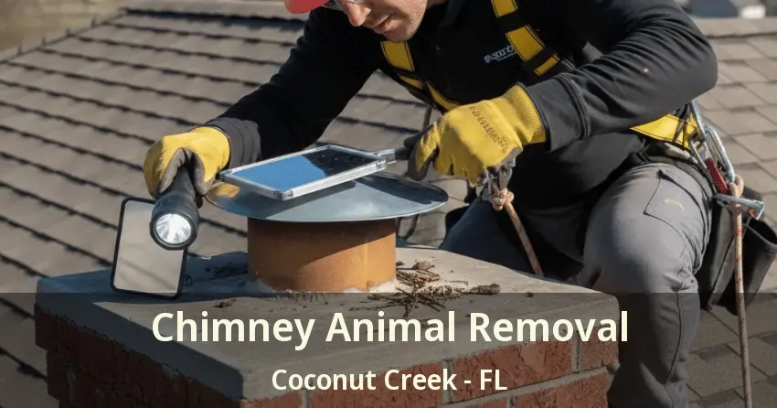 Chimney Animal Removal Coconut Creek - FL