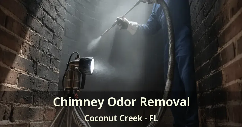 Chimney Odor Removal Coconut Creek - FL