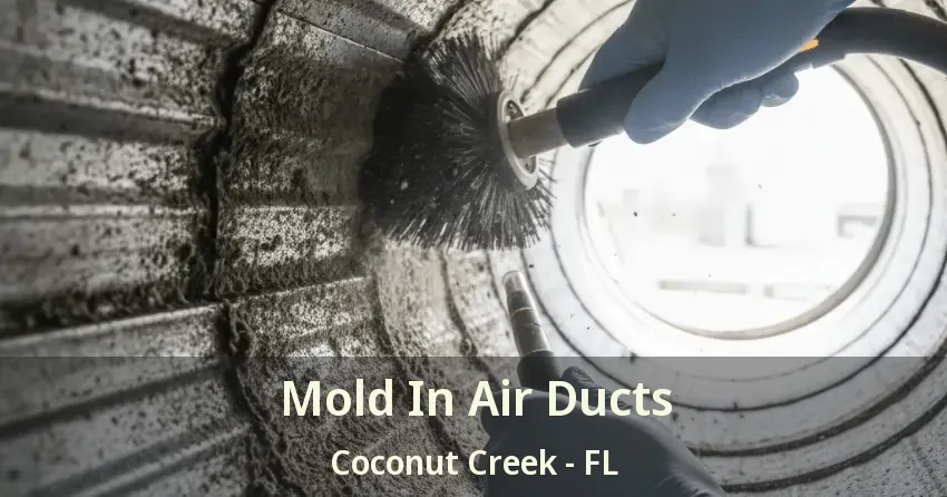 Mold In Air Ducts Coconut Creek - FL