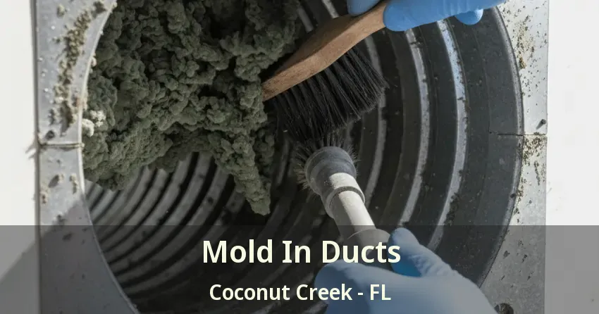Mold In Ducts Coconut Creek - FL Mold In Ducts Coconut Creek - FL